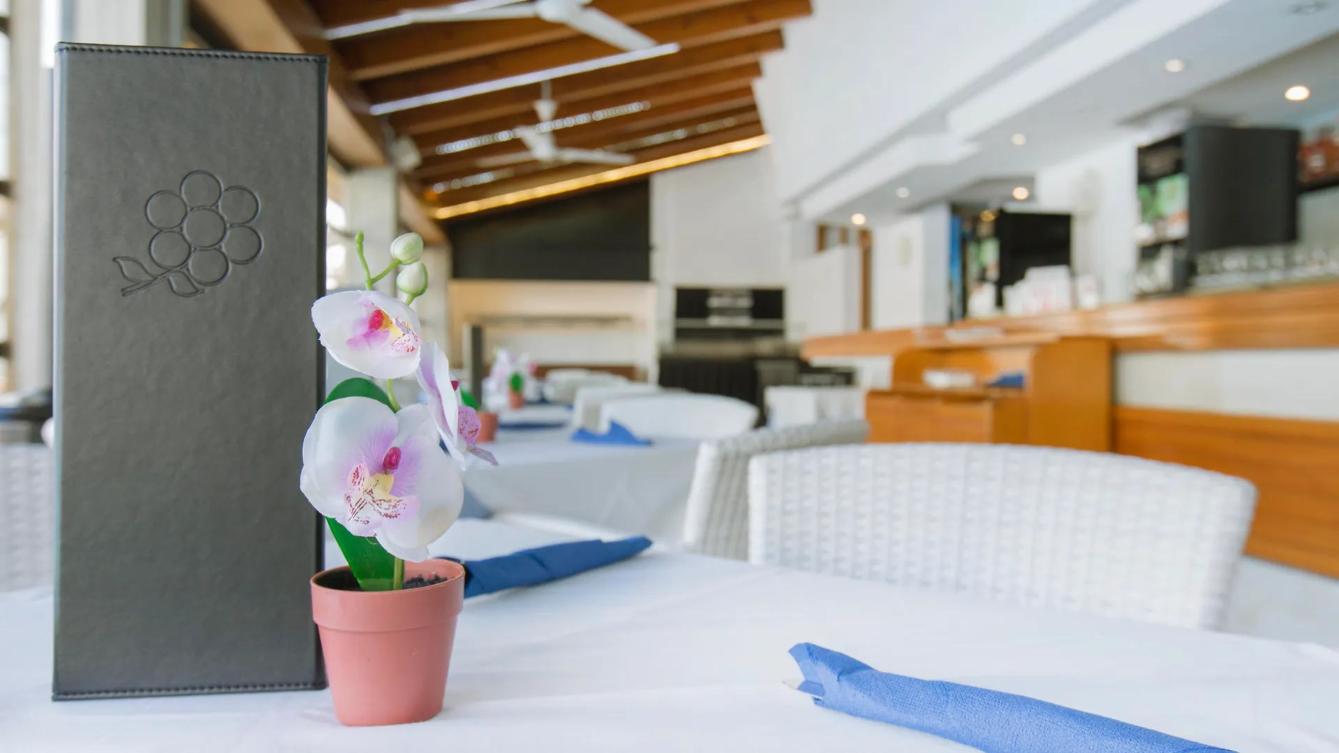 Aparthotel Flora Port de Pollença